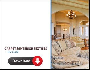 Carpet and Interior Textile Care Guide