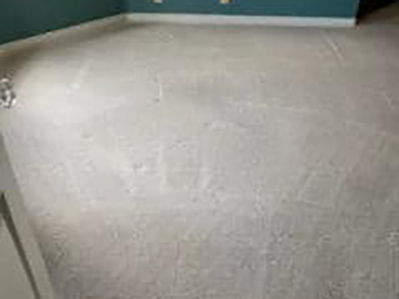 carpet cleaned pet stain removal